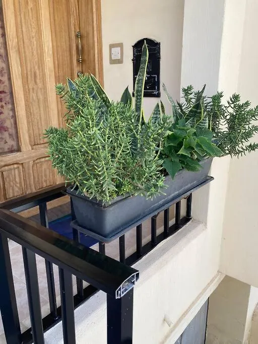 Dream Theatre Maisonette Marsaskala